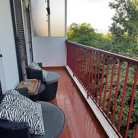Apartman Tree House *